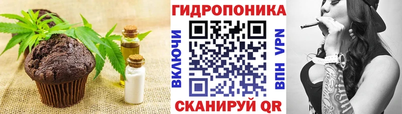 купить наркотик  Ленинградская  Еда ТГК конопля 