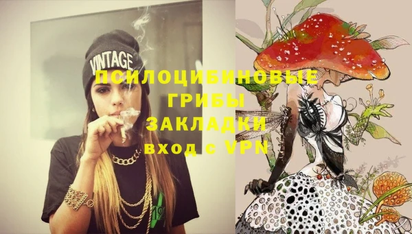 мдпв Иноземцево
