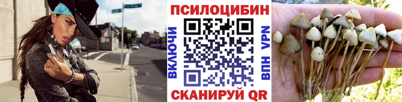 Псилоцибиновые грибы Cubensis Ленинградская